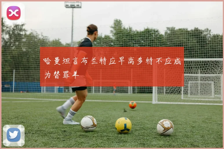哈曼坦言布兰特应早离多特不应成为替罪羊