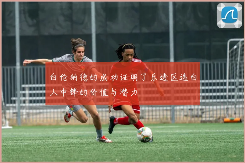 白伦纳德的成功证明了乐透区选白人中锋的价值与潜力